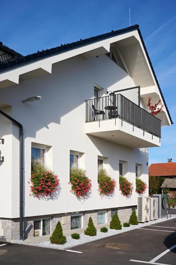 Hotel Hisa Ancka, Sencur - 3 Min To The Airport Exteriér fotografie